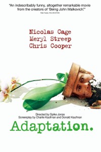 Adaptation