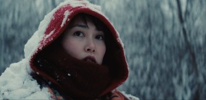 Kumiko the Treasure Hunter