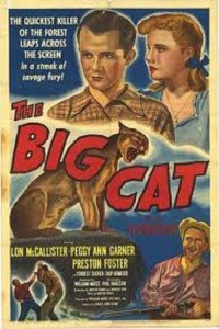 The Big Cat